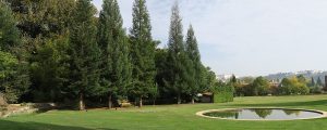 VISITE OS JARDINS DA QUINTA DAS LÁGRIMAS E APOIE A CONSERVAÇÃO DO NOSSO PATRIMÓNIO VEGETAL E IMATERIAL