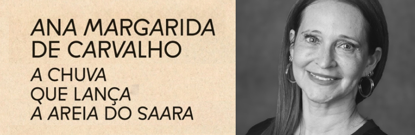 Ana Margarida de Carvalho é a vencedora da 19.ª edição do Prémio Literário Fundação Inês de Castro com <i>A chuva que lança a areia do Saara</i>